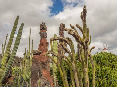 İspanyol adası Lanzarote