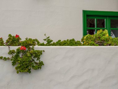 İspanyol adası Lanzarote