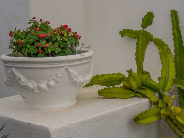 İspanyol adası Lanzarote