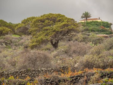 İspanya 'daki La Palma Adası