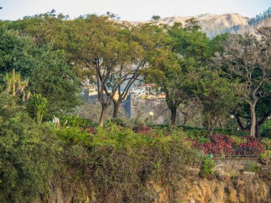 Portekiz madeira Adası