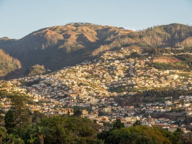 Portekiz madeira Adası
