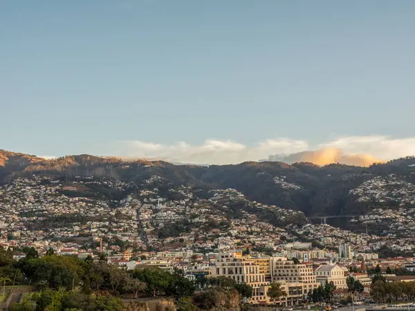 Portekiz madeira Adası