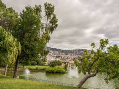 Portekiz madeira Adası