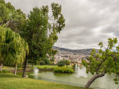 Portekiz madeira Adası