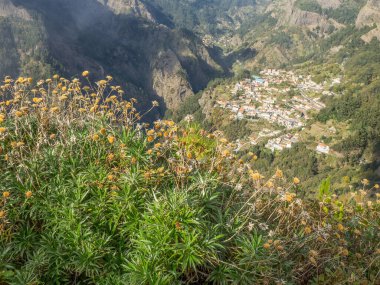 Portekiz madeira Adası