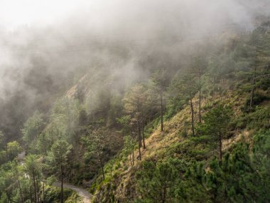 Portekiz madeira Adası