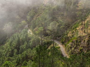 Portekiz madeira Adası