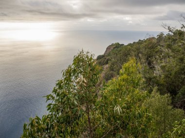 Portekiz madeira Adası