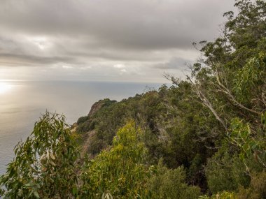 Portekiz madeira Adası