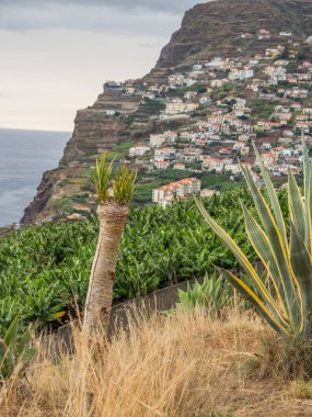 Portekiz madeira Adası
