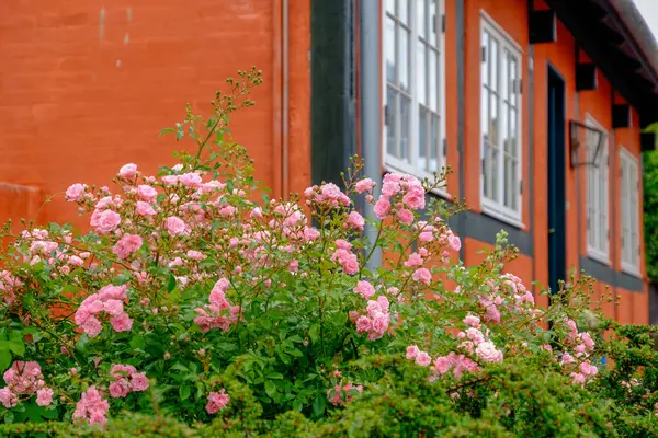 stock image svaneke on bornholm island