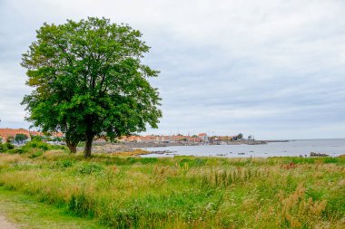 Svaneke bornholm Island üzerinde