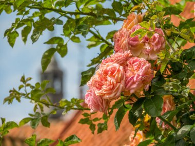 Güney İsveç 'te Trelleborg ve Ystad