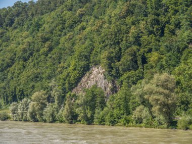 Avusturalya Tuna Nehri 'nde