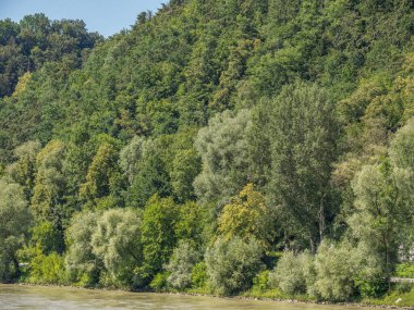 Avusturalya Tuna Nehri 'nde