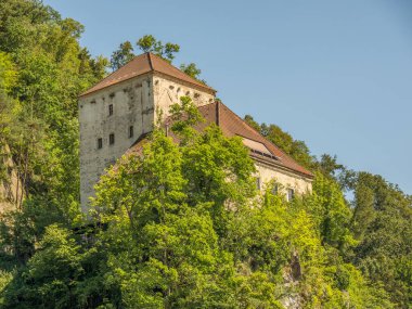 Avustralya 'daki Tuna Nehri' nde.