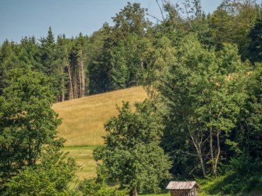 Avustralya 'daki Tuna Nehri' nde.