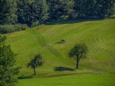 Avustralya 'daki Tuna Nehri' nde.