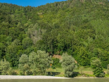 Avustralya 'daki Tuna Nehri' nde.