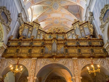 Avustralya 'daki Tuna Nehri' nde.