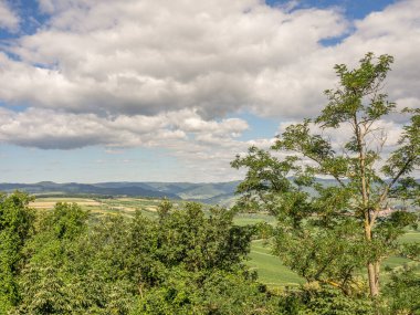 Avustralya 'daki Tuna Nehri' nde.