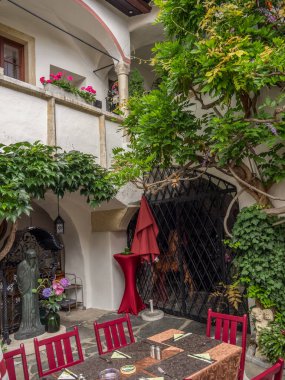 Avustralya 'daki Tuna Nehri' nde.