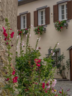Avusturalya Vaçu 'sunda Danube Nehri' nde.
