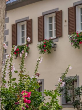 Avusturalya Vaçu 'sunda Danube Nehri' nde.
