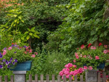 Avusturalya Vaçu 'sunda Danube Nehri' nde.