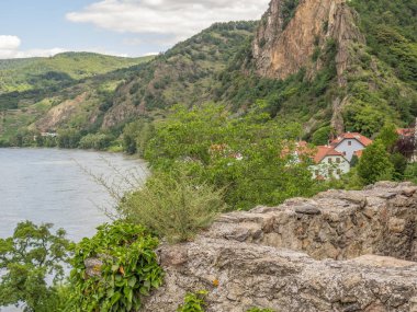 Avusturalya Vaçu 'sunda Danube Nehri' nde.