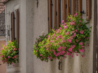 Avusturalya Vaçu 'sunda Danube Nehri' nde.