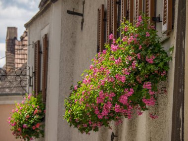 Avusturalya Vaçu 'sunda Danube Nehri' nde.