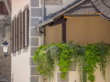 Avusturalya Vaçu 'sunda Danube Nehri' nde.