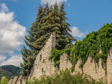Avusturalya Vaçu 'sunda Danube Nehri' nde.
