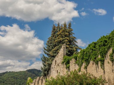Avusturalya Vaçu 'sunda Danube Nehri' nde.