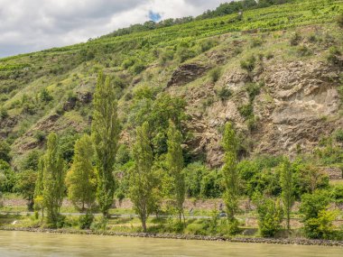 Avusturalya Vaçu 'sunda Danube Nehri' nde.