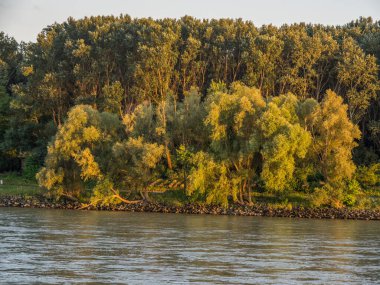 Avusturalya Vaçu 'sunda Danube Nehri' nde.