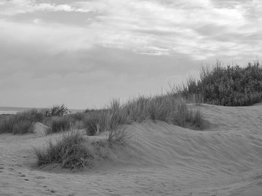 Almanya 'da Borkum Adası