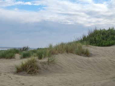Kuzey Denizi 'ndeki Borkum Adası