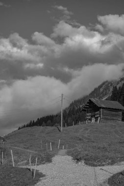 Bavyera dağlarında Oberstaufen