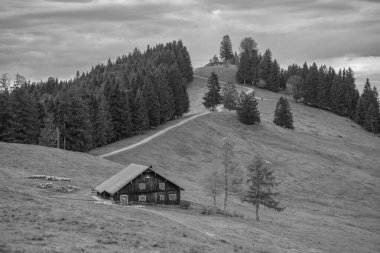 Bavyera dağlarında Oberstaufen