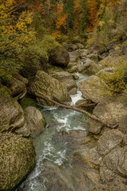 Bavyera dağlarında Oberstaufen