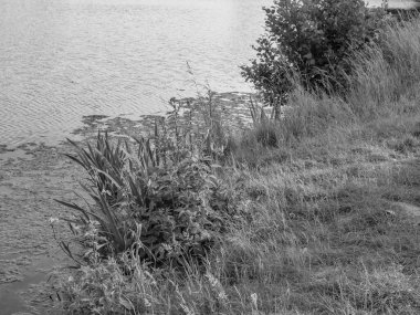 Westphalia 'da küçük bir göl