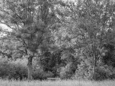 Westphalia 'da küçük bir göl