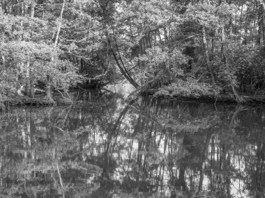 Westphalia 'da küçük bir göl