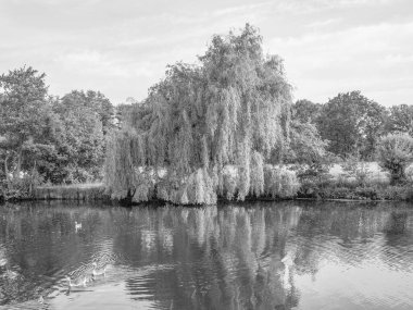 Borken yakınlarındaki Westphalia Gölü.