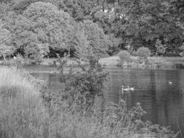 Borken yakınlarındaki Westphalia Gölü.