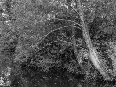 Borken yakınlarındaki Westphalia Gölü.