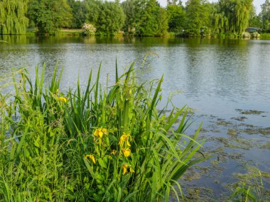 Borken yakınlarındaki Westphalia Gölü.